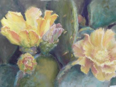 Flowering Prickly Pear Flowering Prickly Pear