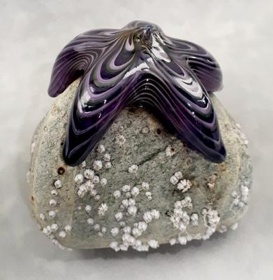 #09162508 Starfish on rock Purple 4.5''HX4.5''WX5''D $150.00 #09162508 Starfish on rock Purple 4.5''HX4.5''WX5''D $150.00