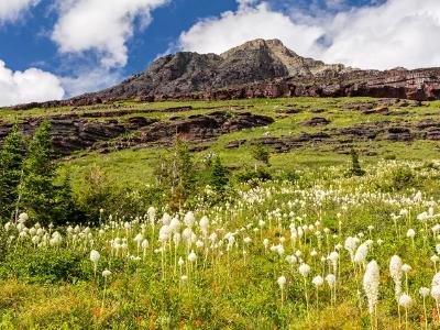 Mountainside of Bear Grass Mountainside of Bear Grass