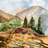 San Bernardino’s from Altadena (sold)