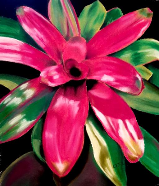 "Red Neo Bromelliad"
