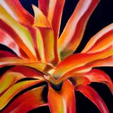 "Apricot Bromeliad"