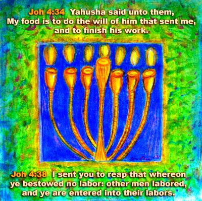 Joh 4, 34&38 Joh 4, 34&38
