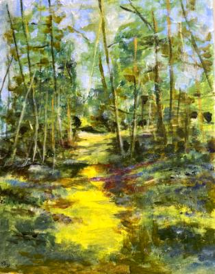 Walk in the woods Walk in the woods