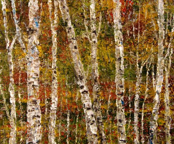 Birch 2