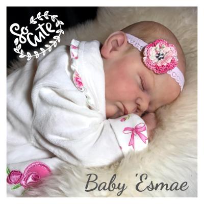Reborn Baby Girl ~ Baby Esmae ~ ADOPTED/SOLD (LAYBY)