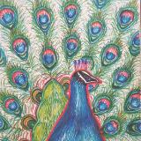 katnaj Artworks    *Colors in Harmony*   Earth,  Life,  Nature