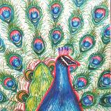 katnaj Artworks    *Colors in Harmony*   Earth,  Life,  Nature