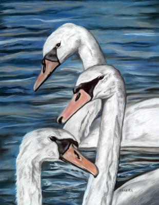 Three Swans A-Swimming