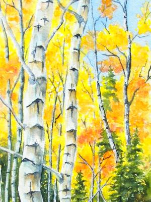 Aspen III Aspen III