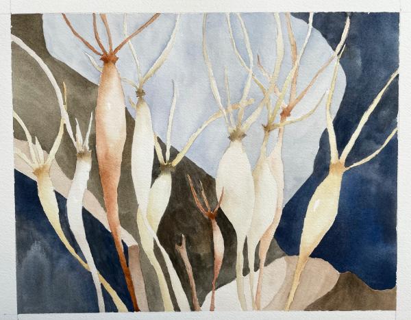 Desert Trumpet, Winter (sold)
