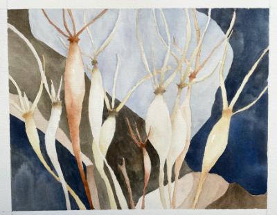 Desert Trumpet, Winter (sold)