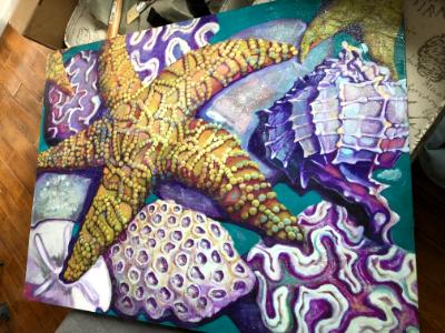 Shells and Texture  Shells and Texture