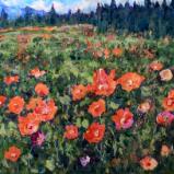 Fields of Radiant Bloom