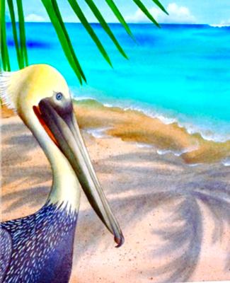 Pelican bay 
