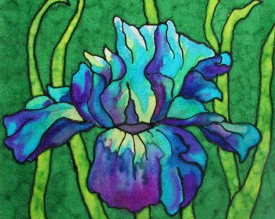 Iris Iris