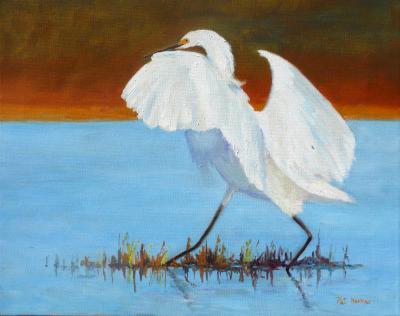 Great White Egret