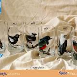 Set of handpainted glasses: BIRDS OF AFRICA