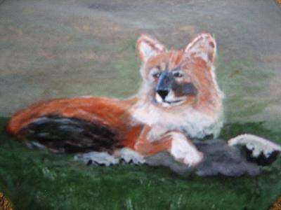 Red Wolf Red Wolf
