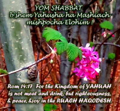 Yom Shabbat