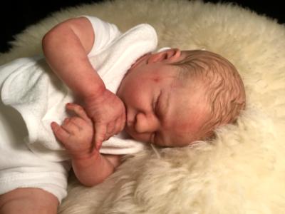 Realborn baby boy ~ Logan ~ ADOPTED/SOLD