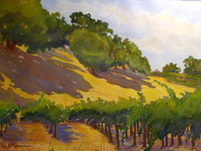 Vineyard Shadows Vineyard Shadows