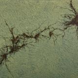 Zephyr Series - P.A.
