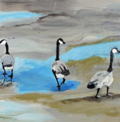 Geese by the Columbia River Geese by the Columbia River