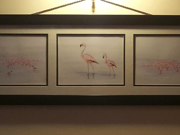 Compilation : F Flamingos