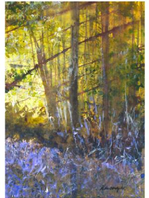 Bluebell woods impression.