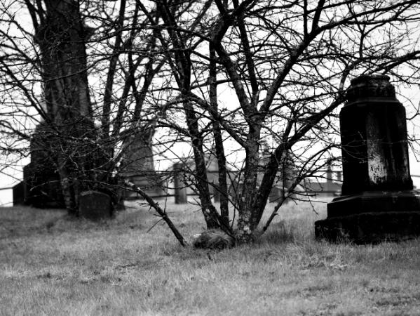 prospect hill cemetery, gloversville, ny  (canon r50 ttartisan 50mm f/1.8)