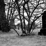 prospect hill cemetery, gloversville, ny  (canon r50 ttartisan 50mm f/1.8)