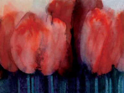 tulips tulips