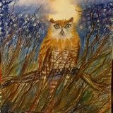 katnaj Artworks    *Colors in Harmony*   Earth,  Life,  Nature