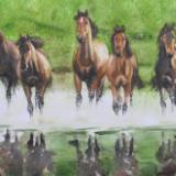 Horses in the greennery, 35cm x 50cm, 2014