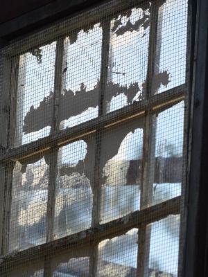 Broken Pane Broken Pane