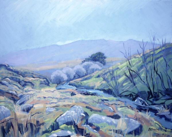 At Black-a-ven Brook, Dartmoor