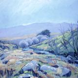 At Black-a-ven Brook, Dartmoor