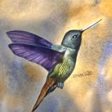                                         Cathryn A. Ward - Artist