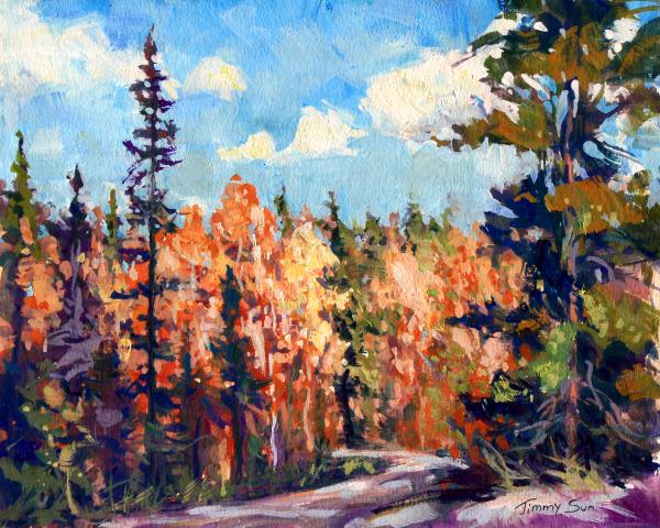 Algonquin Park, Ontario  