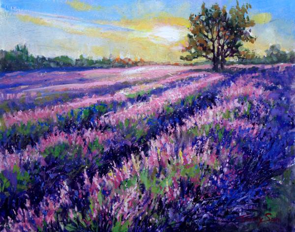 Lavender’s Morning Song