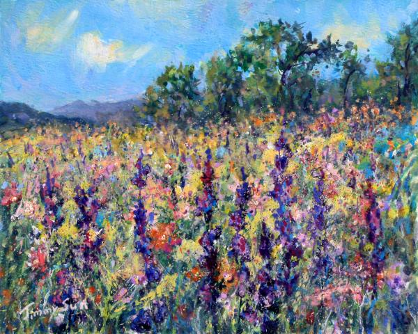 A Colorful Dream