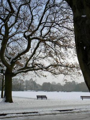 A Lone Bench