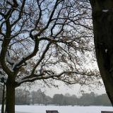 A Lone Bench