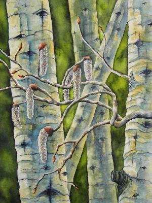 Spring Aspen Spring Aspen