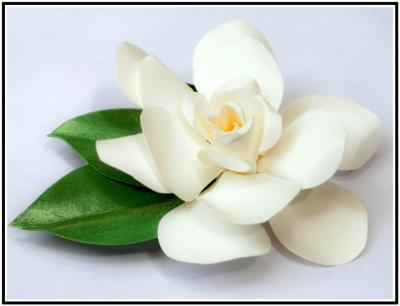 White Gardenia Life Size Pin White Gardenia Life Size Pin