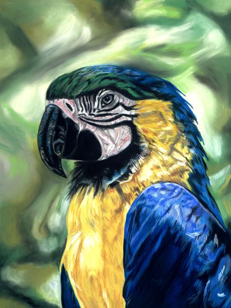 A Concatenation of Colors