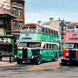 Buses in Taylor Square, Sydney 1947 