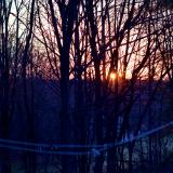 rorschach cyclops (canon r50 ttartisan 50mm f/1.2)