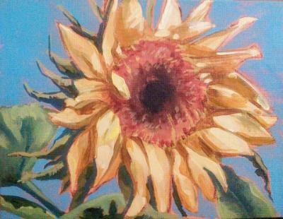 Darlene's Sunflower